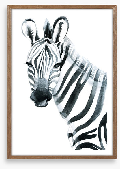 Watercolour zebra