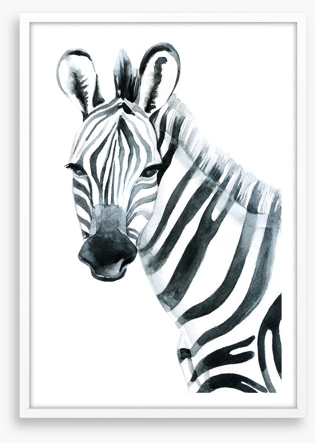 Watercolour zebra