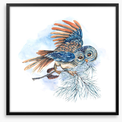 What a hoot