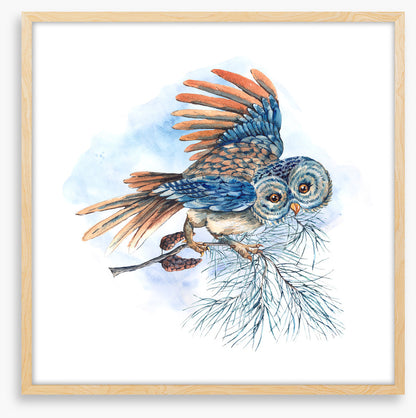 What a hoot