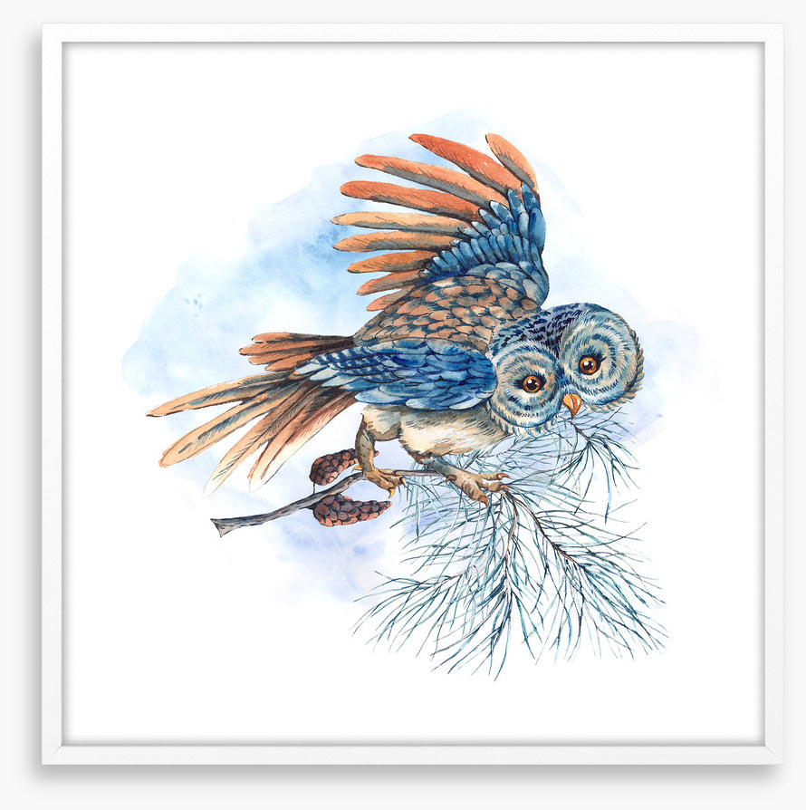 What a hoot