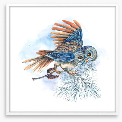 What a hoot
