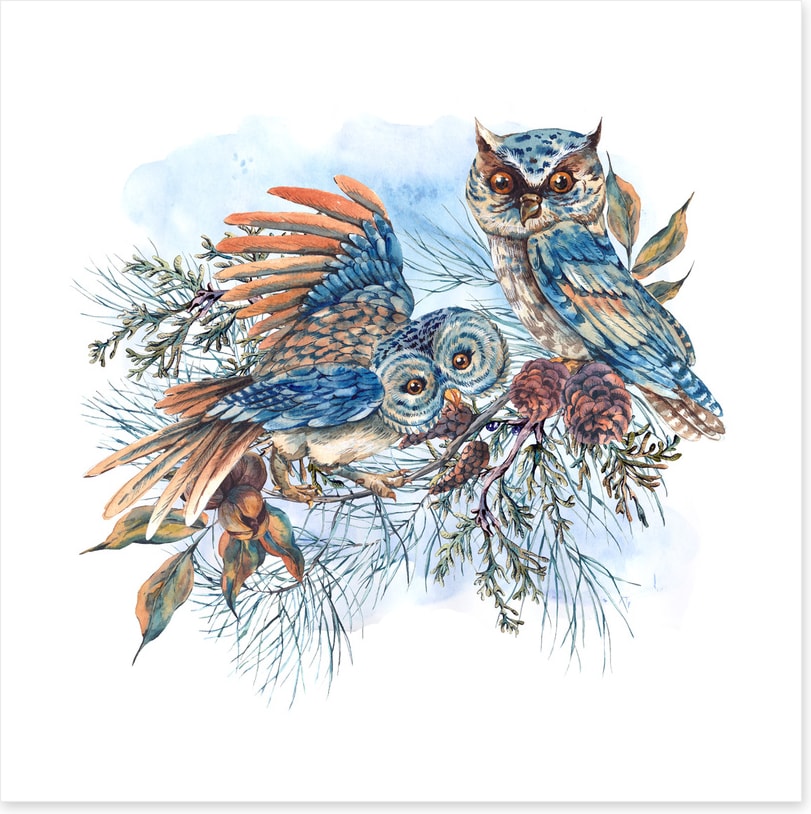 Two hoots