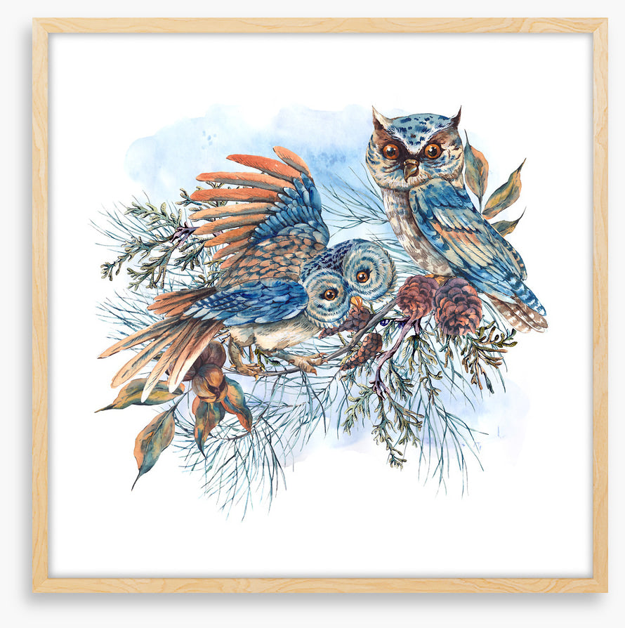 Two hoots