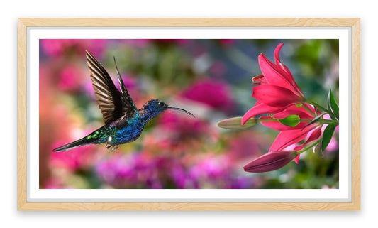 Hummingbird hover
