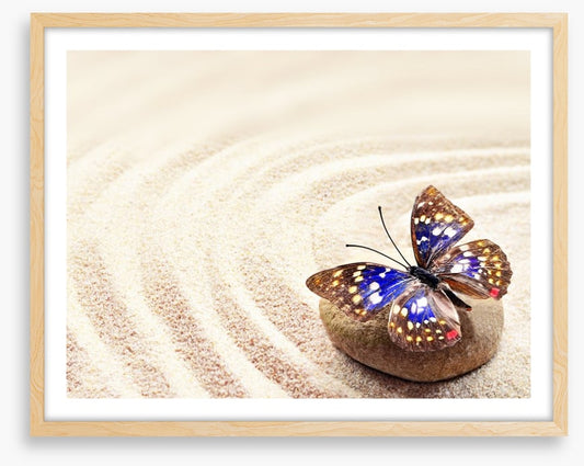 Beautiful butterfly on the sand