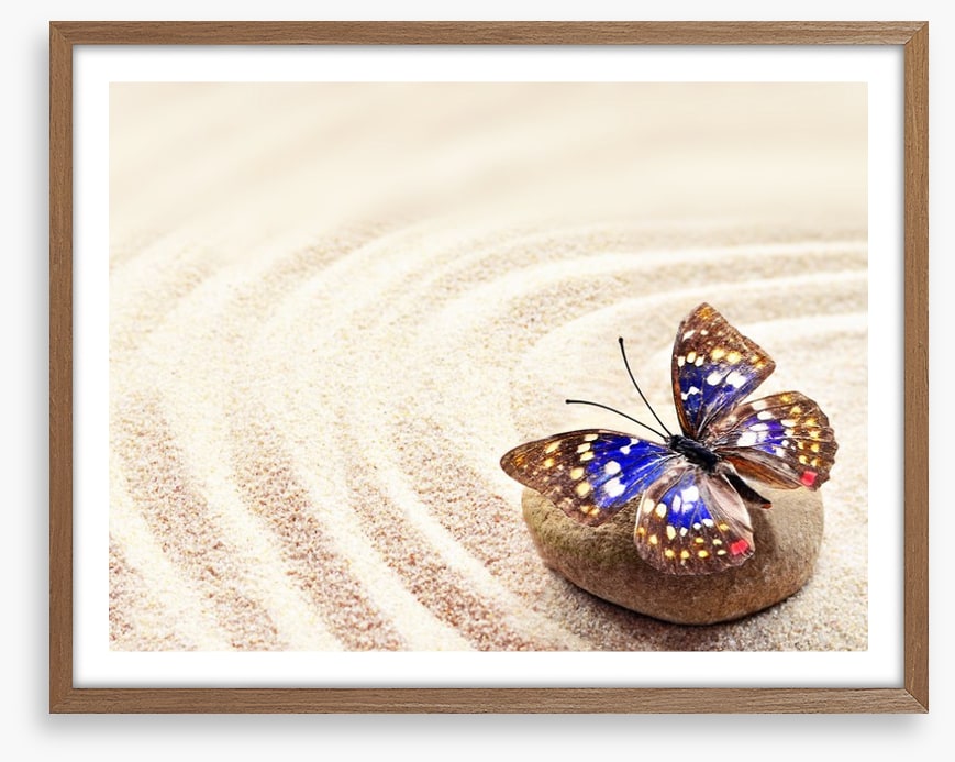 Beautiful butterfly on the sand