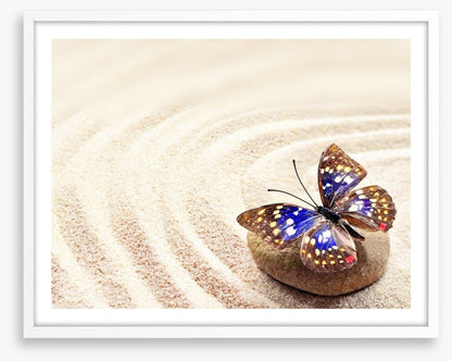 Beautiful butterfly on the sand