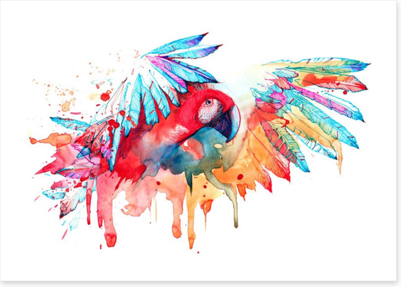 Tropical parrot