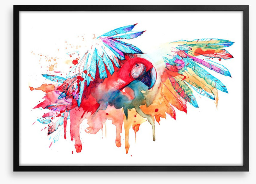 Tropical parrot