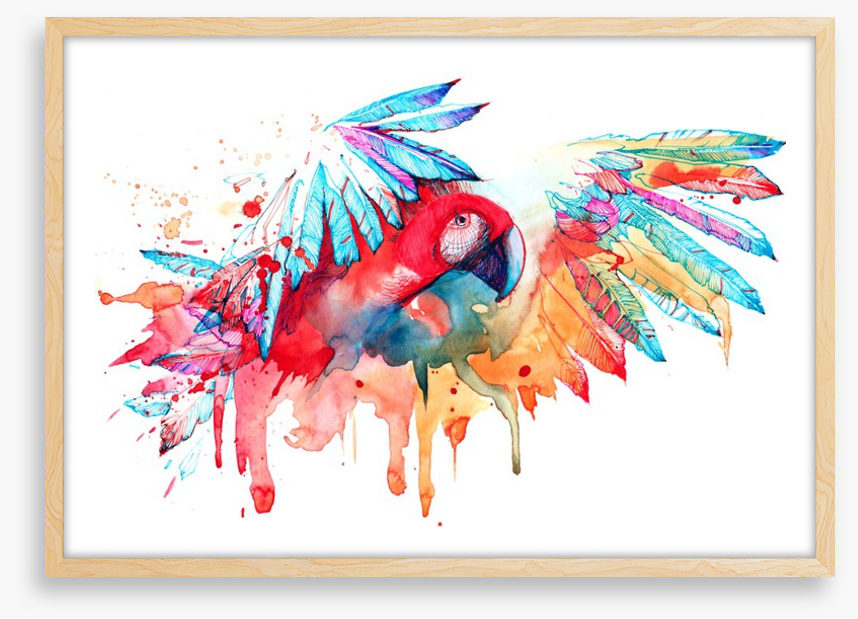 Tropical parrot