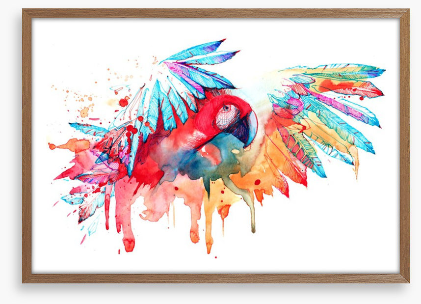 Tropical parrot