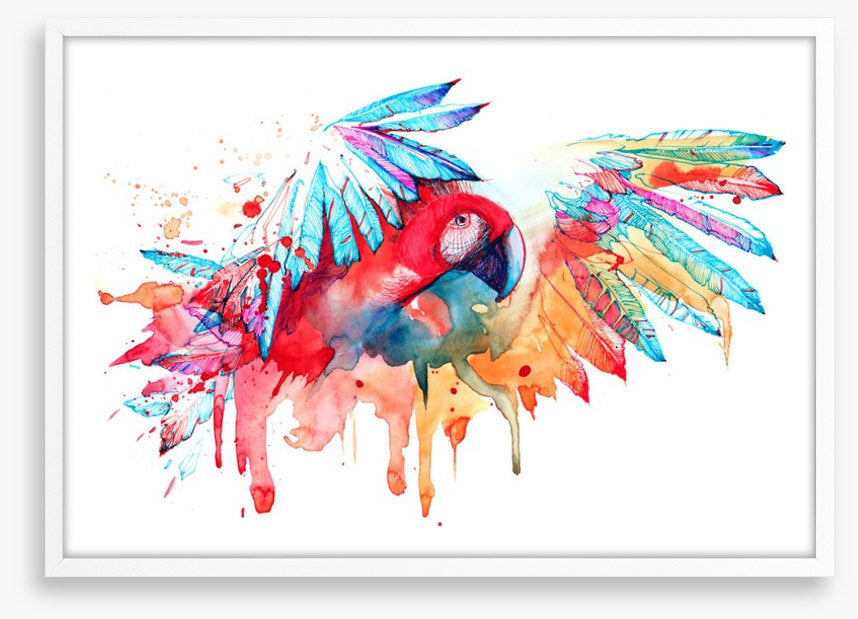 Tropical parrot