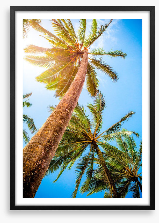 Trees