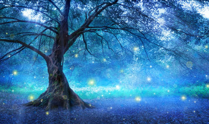 The fairy tree