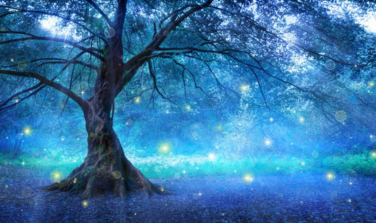 The fairy tree
