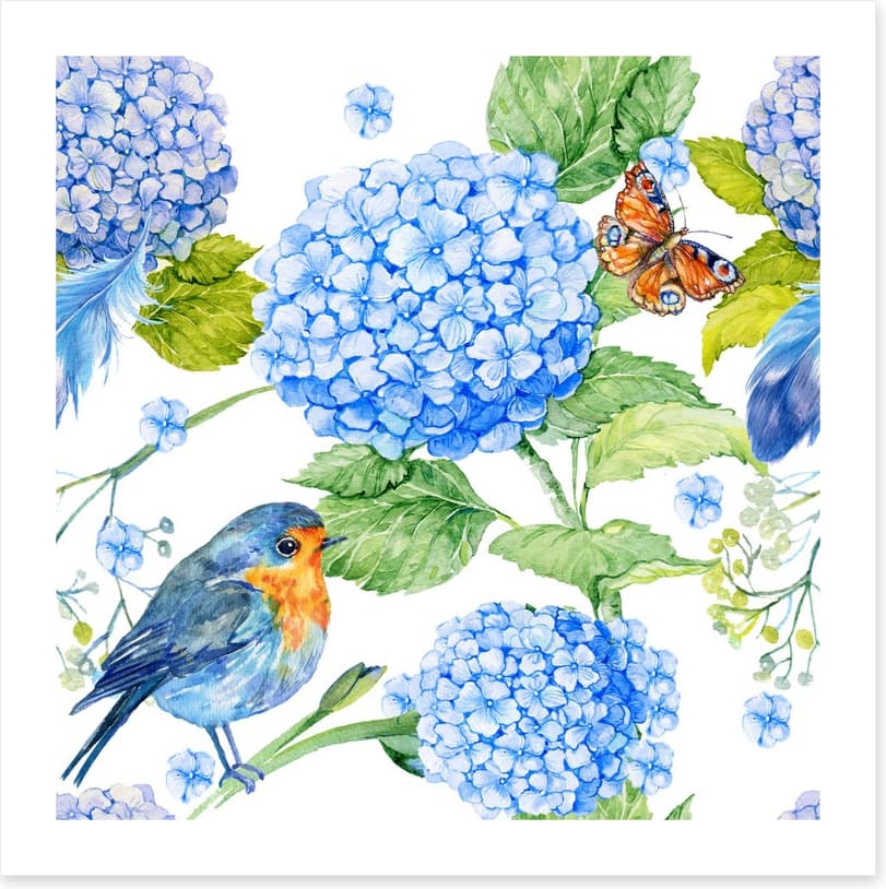 The hydrangea garden