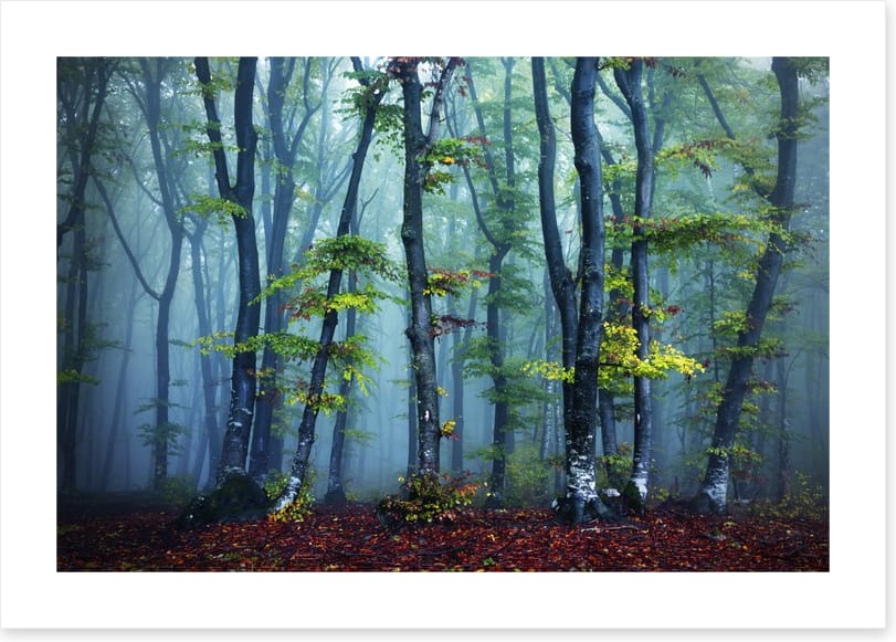 Beyond the mist