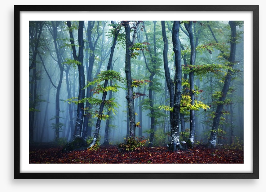 Beyond the mist