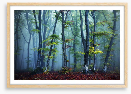 Beyond the mist