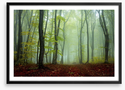 Deep in the mystic woods