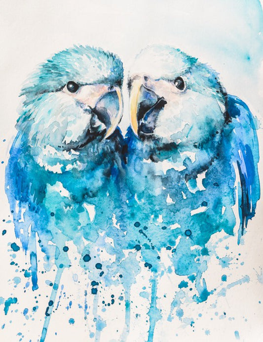 Little blue macaw