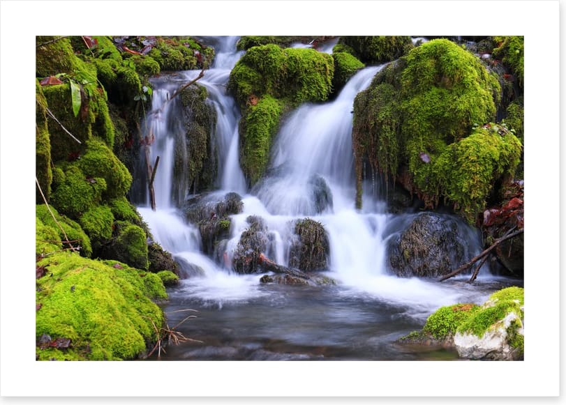 Mossy maze cascade