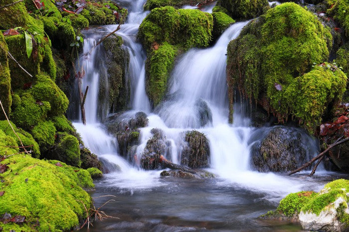 Mossy maze cascade