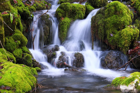 Mossy maze cascade