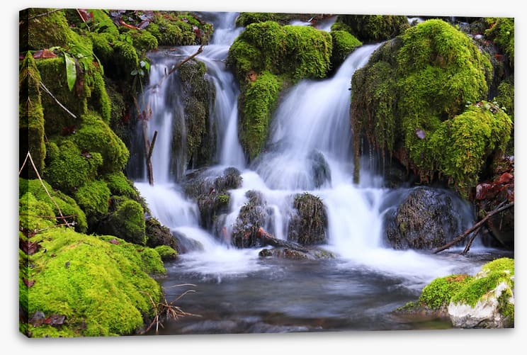 Mossy maze cascade