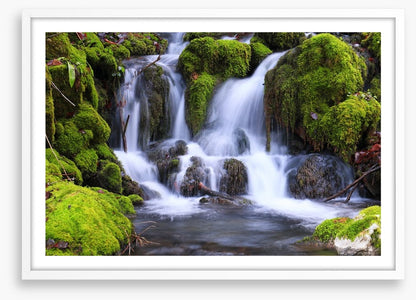 Mossy maze cascade