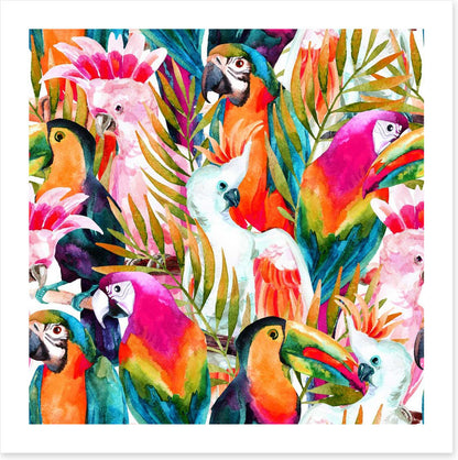Parrots and cockatoo
