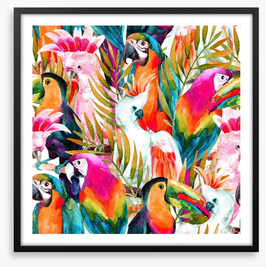 Parrots and cockatoo