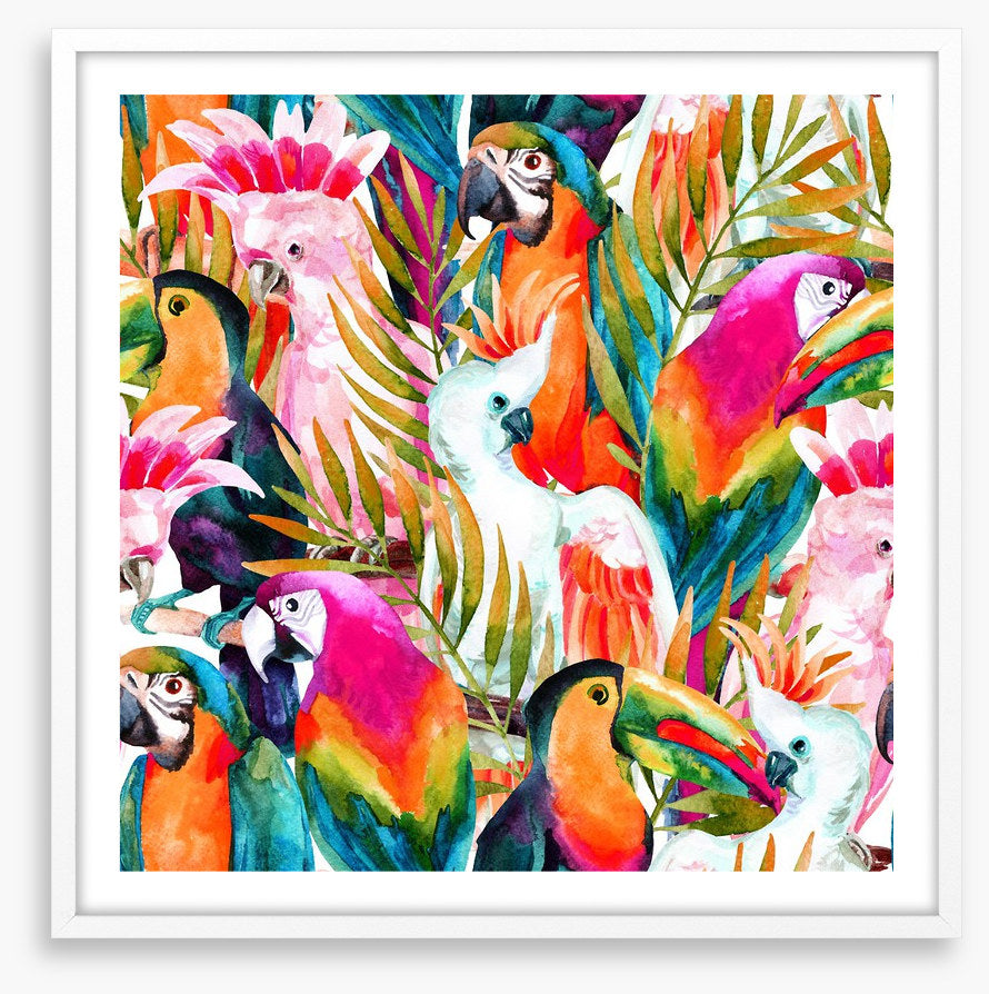 Parrots and cockatoo