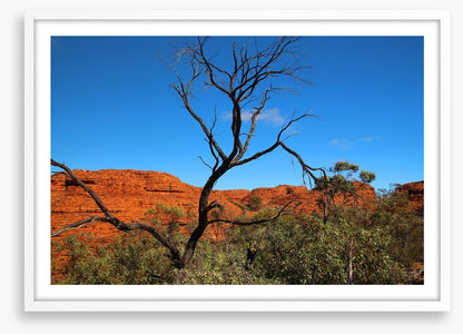 Kings Canyon contrasts