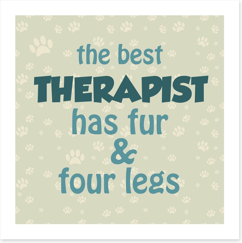 The best therapist