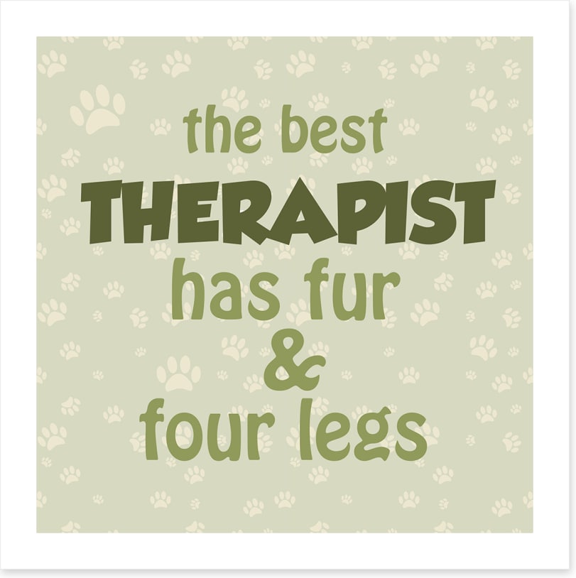 The best therapist
