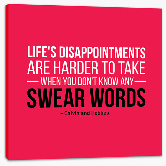 Life's disappointments