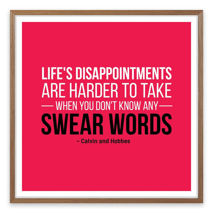 Life's disappointments