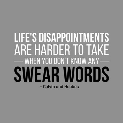 Life's disappointments