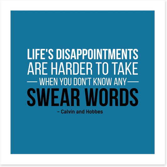 Life's disappointments