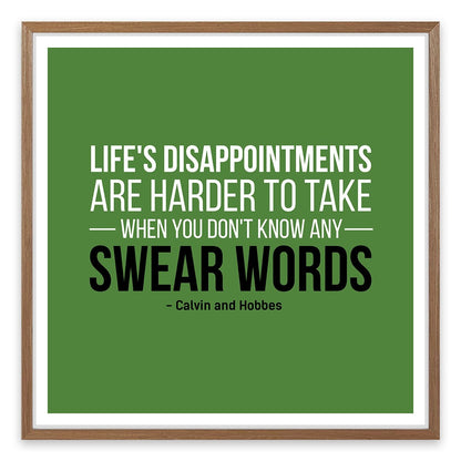 Life's disappointments