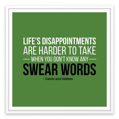 Life's disappointments
