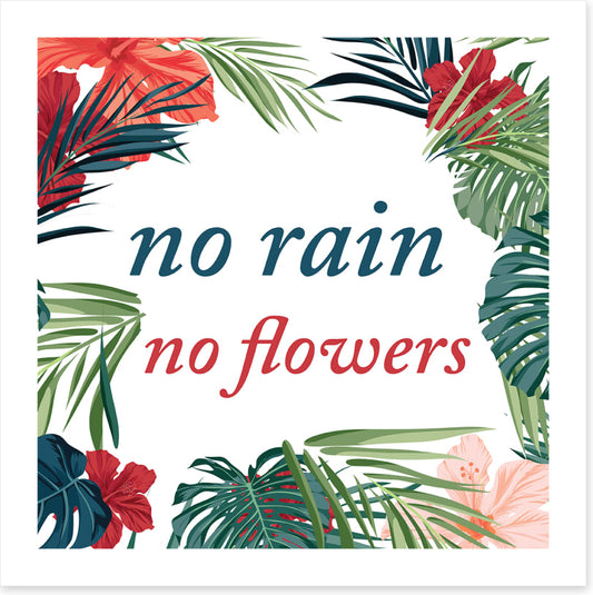 No flowers