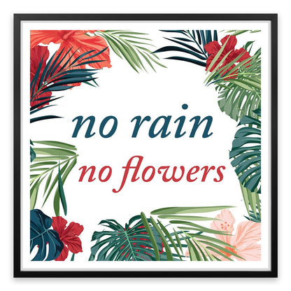 No flowers