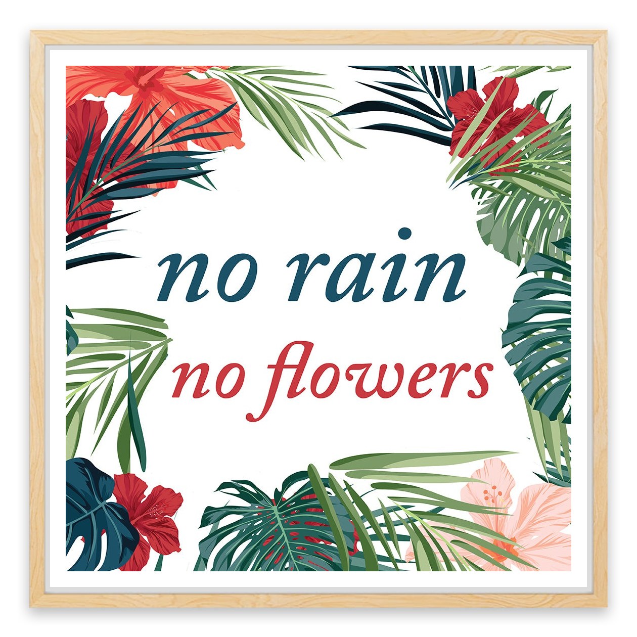 No flowers