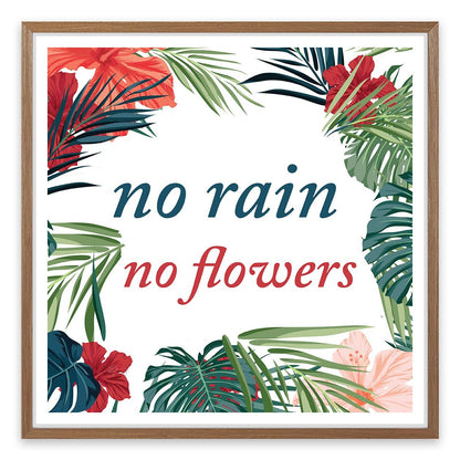 No flowers