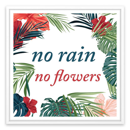 No flowers