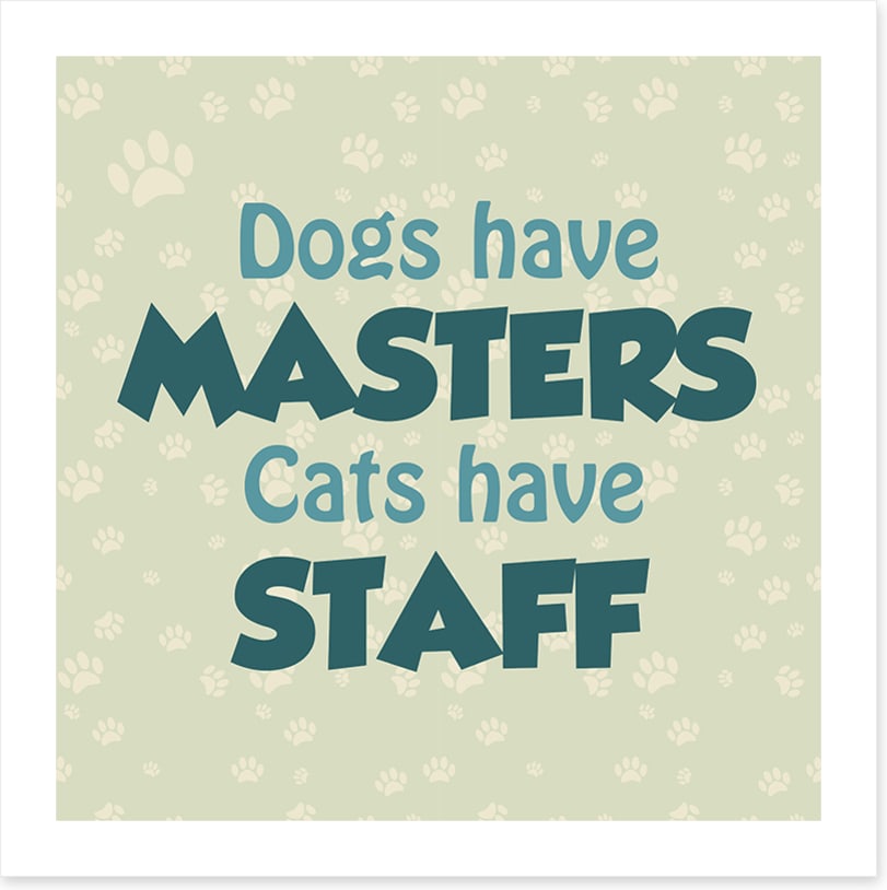 Cats and dogs