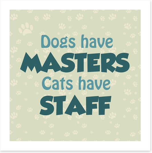 Cats and dogs